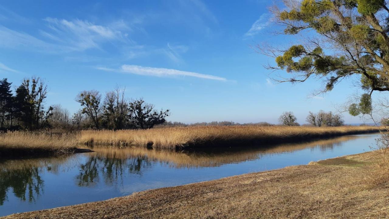 Hotel Am See 하르트 외부 사진