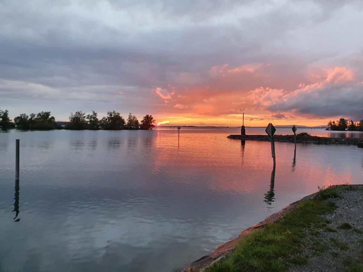 Hotel Am See 하르트 외부 사진