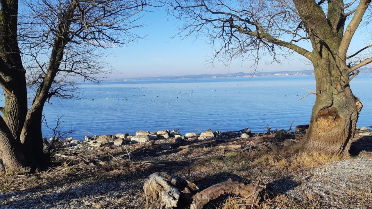 Hotel Am See 하르트 외부 사진